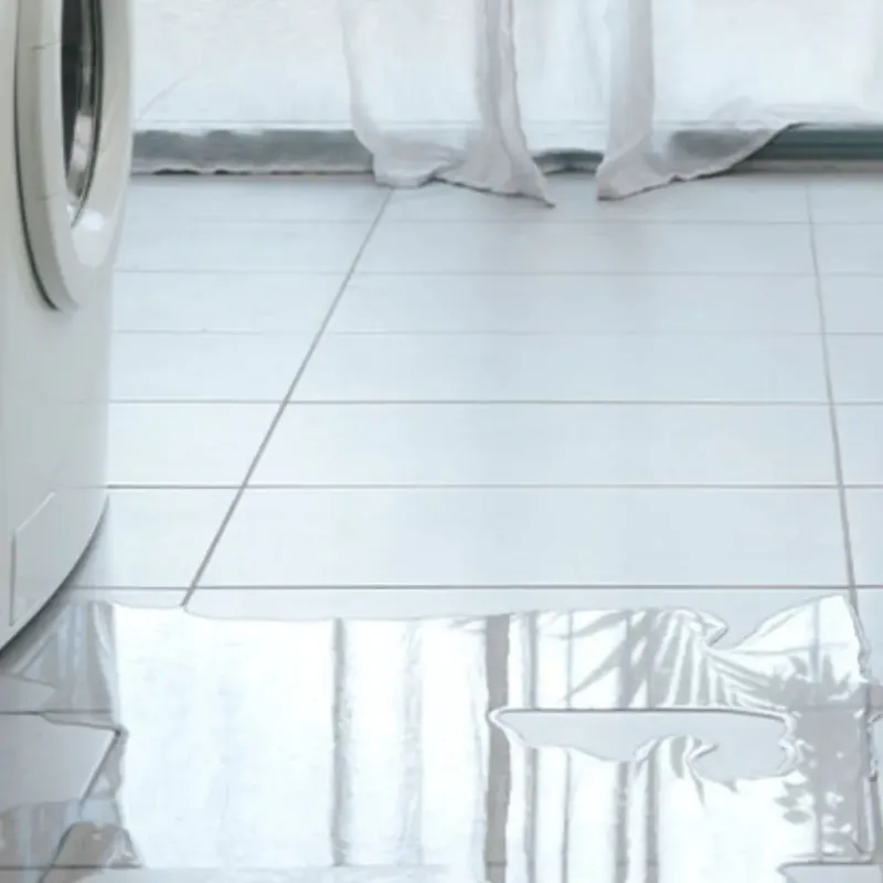 Appliance Leak Cleanup in Taylor, MI