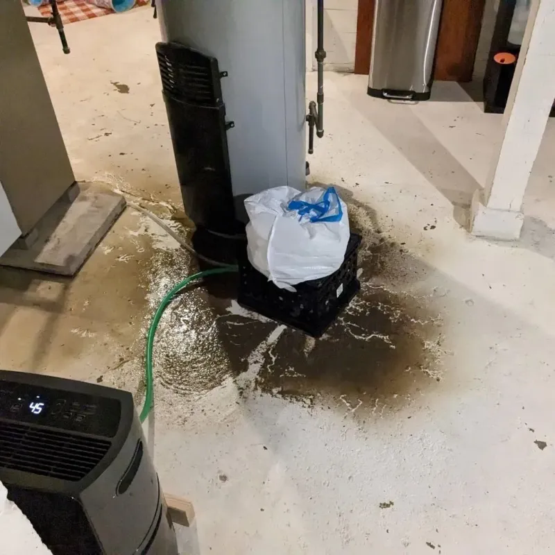 Sewage Backup Cleanup Service in Taylor, MI